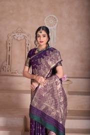 Np Saree  DN 9746A TO 9746D